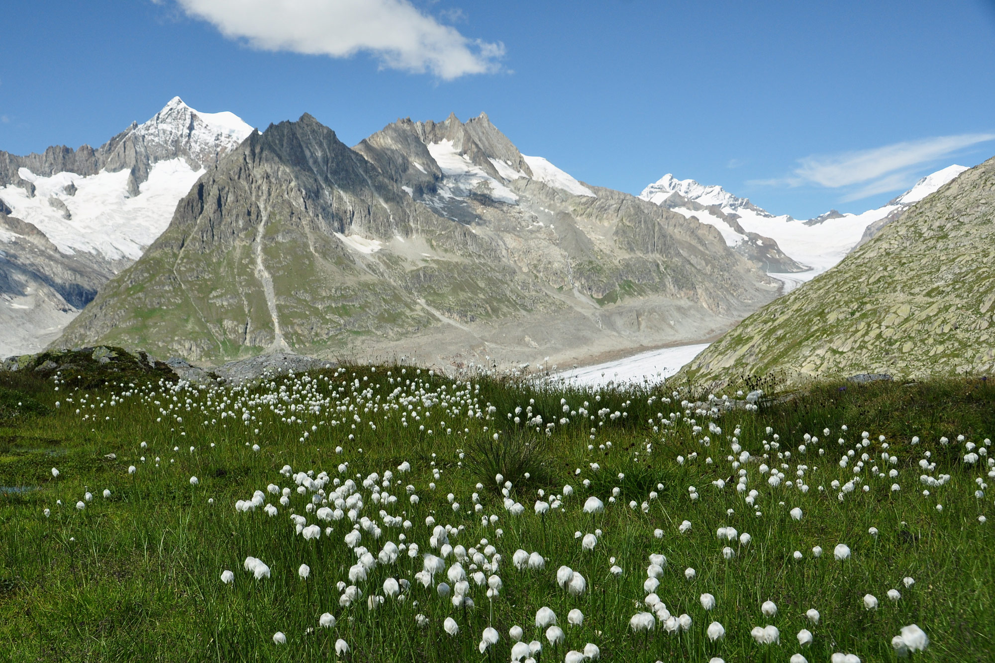 Fiescheralp